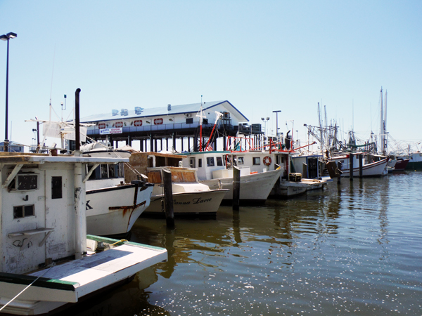 restaurants and boats in the harbor